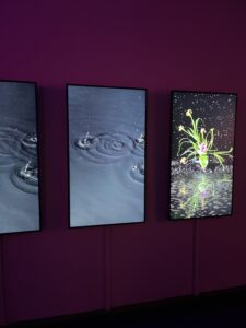 Spring in Art and Photography. Bloom Explosion