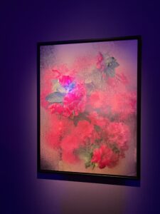 Spring in Art and Photography. Bloom Explosion