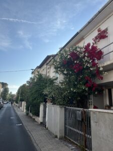 Tuscany Hidden Gems: Viareggio Italian Beach Resort