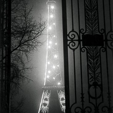 Paris Through the Lens of Bassai Photography: A Timeless Elegance